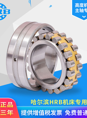 HRB哈尔滨机床主轴轴承 NN3020 KP5W33 D3182120 总厂 高速