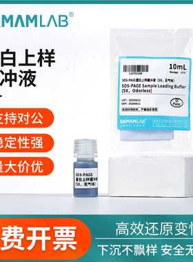 比克曼生物蛋白上样缓冲液SDS-PAGE还原型电泳实验Loading buffer