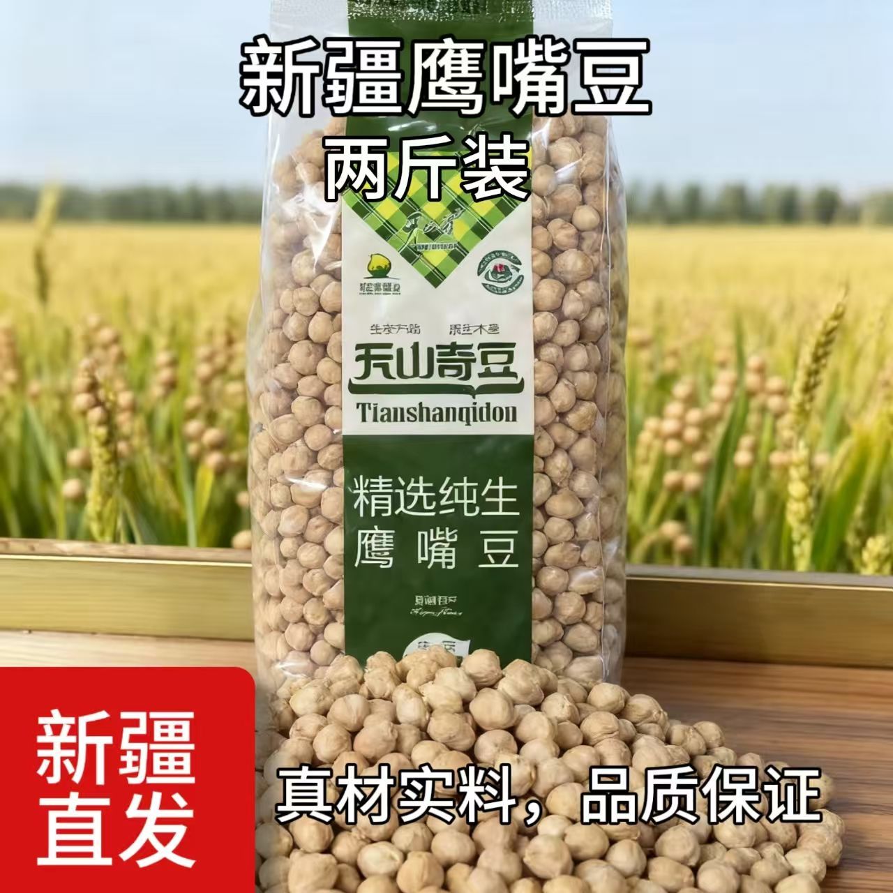 新疆直发木垒天山奇生鹰