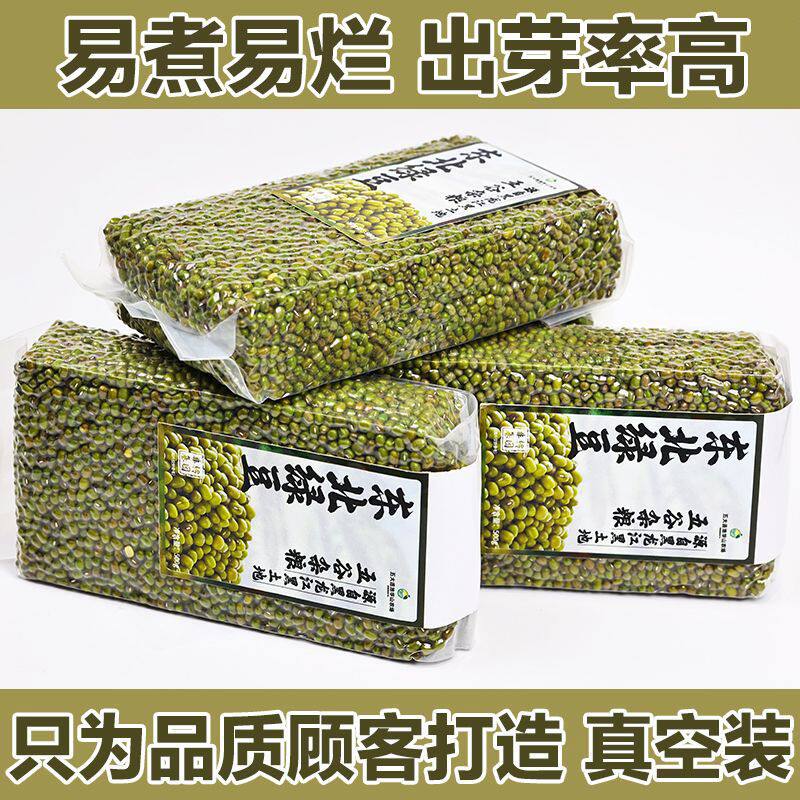2025东北新绿豆发豆芽真