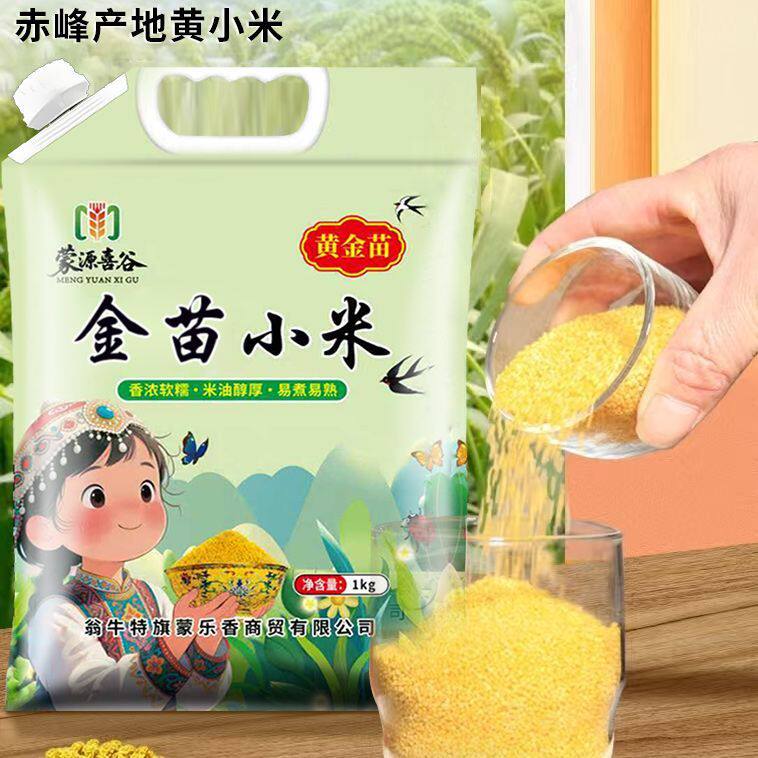 内蒙古黄小米赤峰产地金