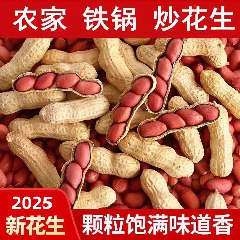 红皮花生原味铁锅炒带壳