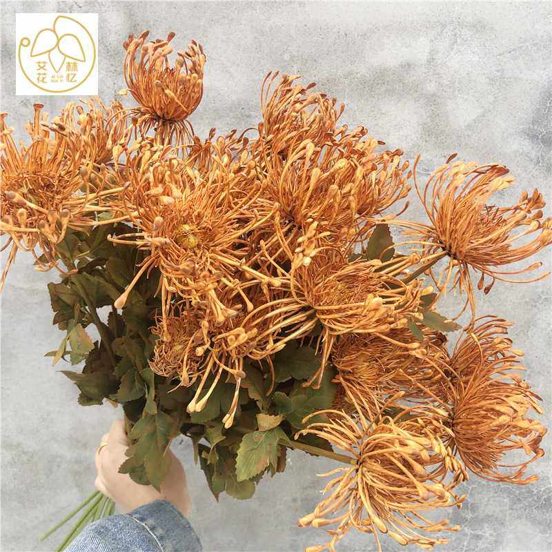 仿真3头针垫花 南非帝王花帝皇仿真蟹爪菊婚庆装饰花艺山野风植,节庆用品/礼品,婚庆绢花,淘宝优惠券,粉丝福利购,淘宝优惠卷