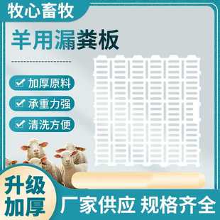 羊用漏粪板 羊棚羊舍养殖设备塑料加厚羊床接粪地板漏屎板