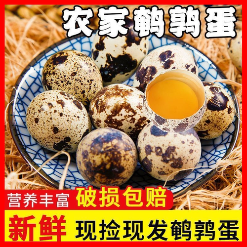 鹌鹑蛋新鲜40/80枚一整箱生鲜鸟蛋孕妇宝宝辅食杂粮喂养高营养