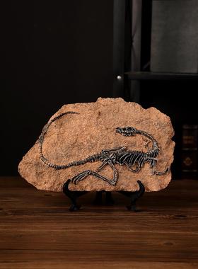 创意仿真恐龙化石摆件复古霸王龙标本工艺品摆设办公室桌面装饰品