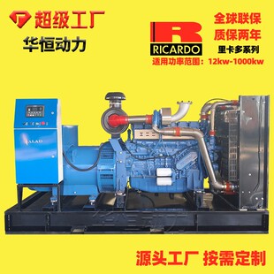 500 潍坊系列柴油发电机组100 400 300 600kw电启动发电机组 200