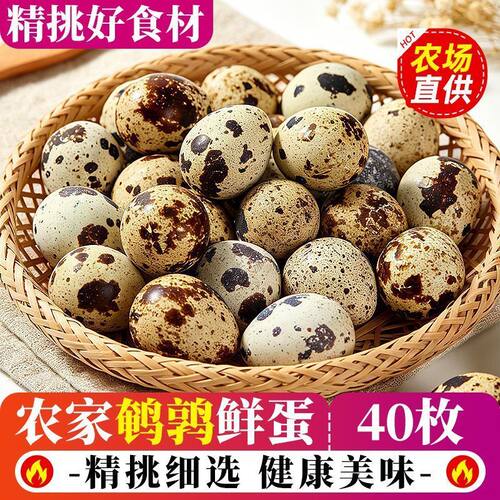 【40枚生鹌鹑蛋】精选农家新鲜土鹌鹑蛋五谷养小鸟蛋涮煮烤生鲜蛋