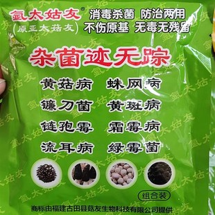 雜菌跡無(wú)蹤蛛網(wǎng)病鐮刀菌流耳鏈孢霉霜霉羊肚菌黃腐消蘑菇黃菇銹斑
