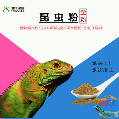 蟋蟀粉纯蟋蟀全粉干粉蜥蜴睫角巨人守宫鬃狮辅佐营养粉果泥粮饲料