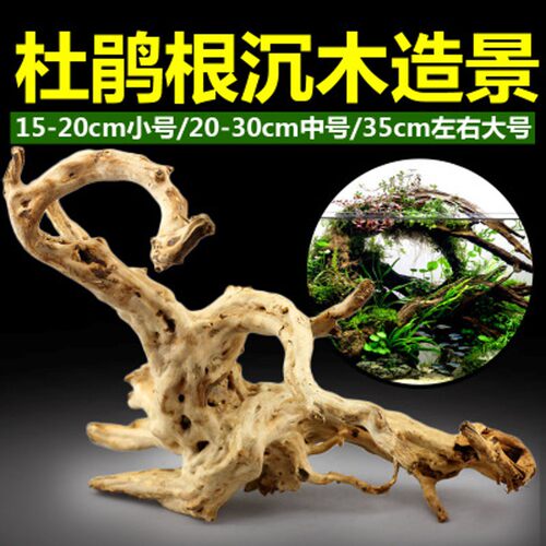 爬宠造景枯木干变色龙爬虫造景雨林生态造景箱杜鹃根藤沉木龟晒台