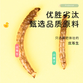 柯尔鸭面包虫干零食芦丁鸡仓鼠粮食龟粮鸟食饲料用品营养美毛亮羽