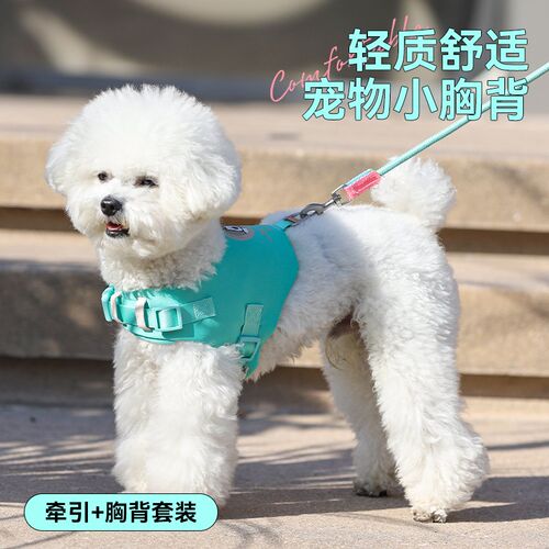 狗狗牵引绳狗链不勒脖防挣脱小狗狗牵引绳遛狗中小型狗狗胸背狗绳