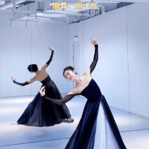 720度千千阙歌古典舞黑白双层中国风雪纺大摆裙新款人世间舞蹈服