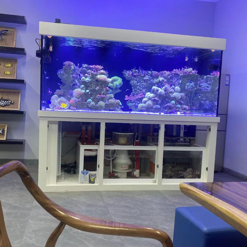 定制海水珊瑚缸底滤海缸底部过滤海水鱼缸超白背滤海缸侧滤缸定做,宠物/宠物食品及用品,底柜/落地缸,淘宝优惠券,粉丝福利购,淘宝优惠卷