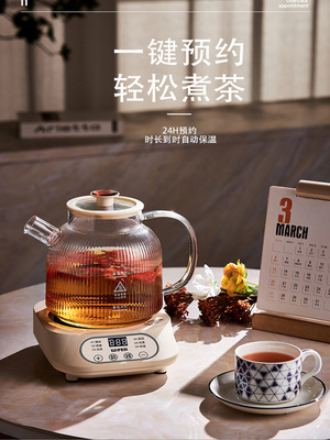 2025新款全玻璃养生壶家用炖煮一体小型办公室多功能电陶炉煮茶壶