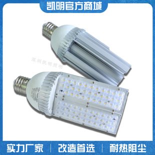 100W 70W 120WE27E40马路灯单面照明光源 65W LED玉米路灯光源30W