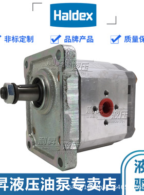 德国翰德HALDEX齿轮泵 WP15A1B380R55PB151N 1830653 农机车辆泵