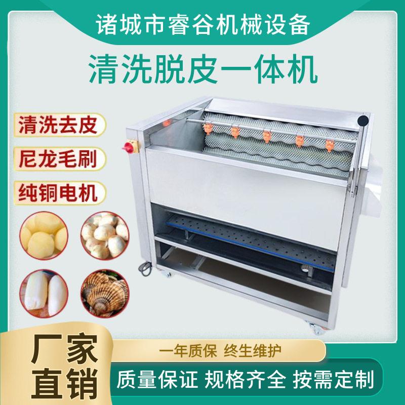 商用白萝卜毛辊清洗机水萝卜清洗设备瓜果类去皮清洗一体机