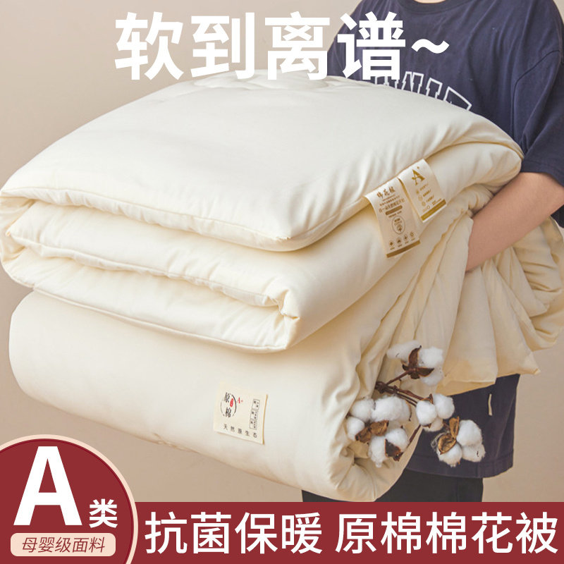 空调被十大品牌新疆棉花被子被芯化纤被
