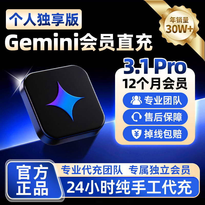 【Gemini3pro ！稳定不降智】Gemini pro3.1 3.0个人独立会员代充