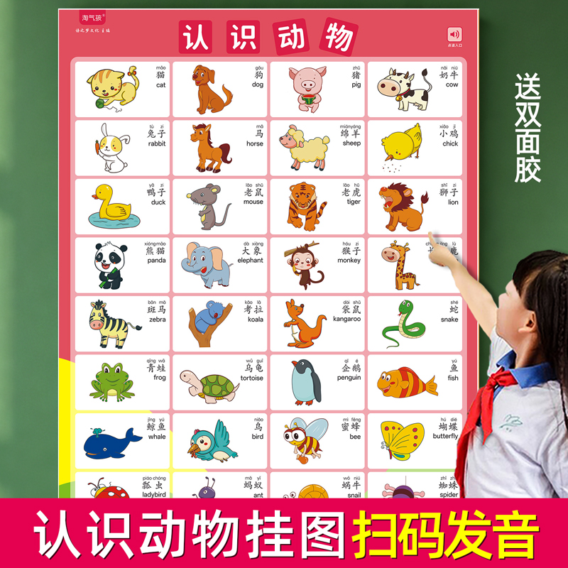 儿童早教学习挂图点读笔发音
