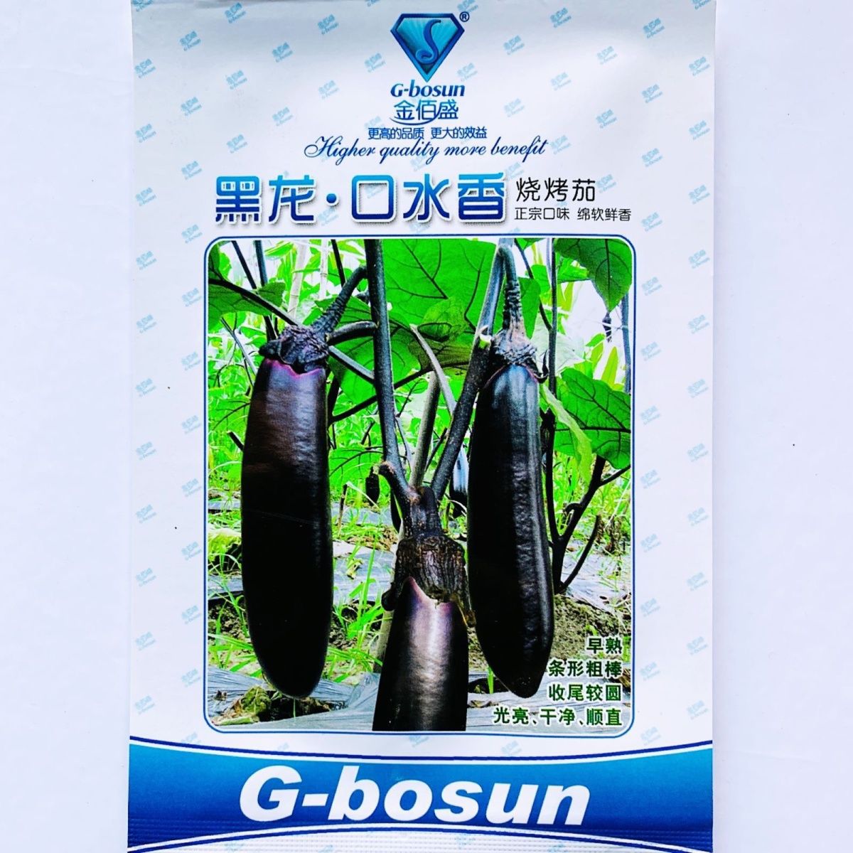 金佰盛茄子黑龙口水香春秋茄种子黑马墨茄紫种籽果皮黑长棒型播种