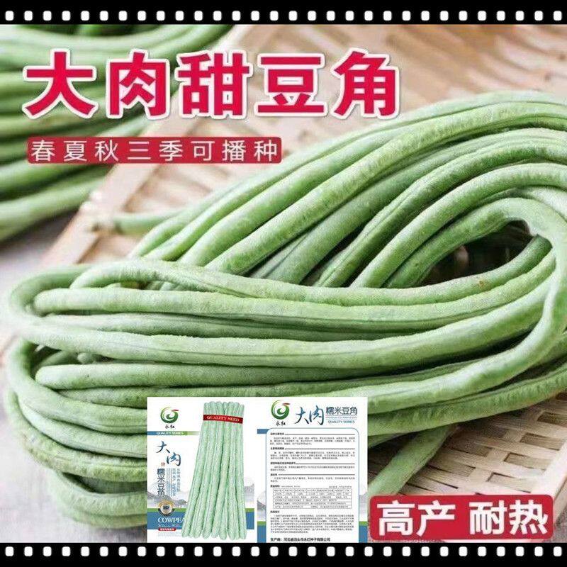 大肉糯米甜豆角种子抗热高产春夏秋播长江豆种子易种盆栽蔬菜种子