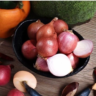 东北特产毛葱新鲜鬼子葱毛葱特大号红葱头农家毛葱种子红葱头圆葱
