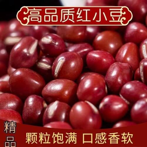 进口红豆种子高产红豆绿豆种春夏季五谷杂粮种不打架高产农家菜种