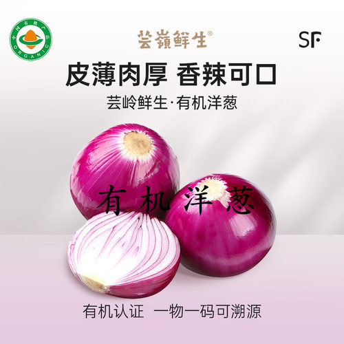 【芸岭鲜生】云南高原种植有机洋葱5斤装有机蔬菜