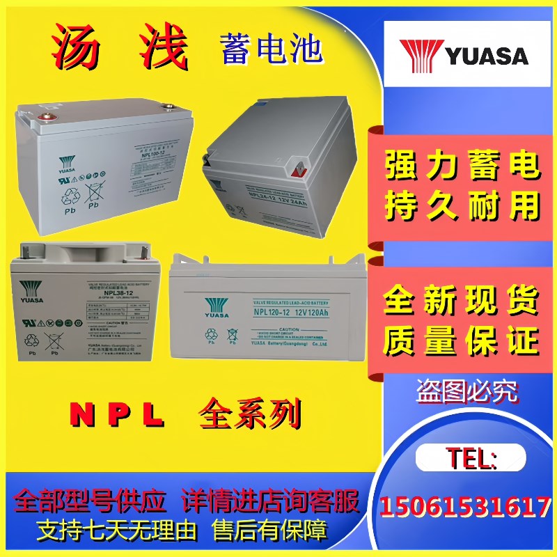 YUASA汤浅蓄电池NPL100-12/12V100AH铅酸免维护机房UPS/EPS原装