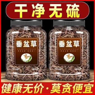 垂盆草中药材500g干货泡茶正宗药食用垂盆草干垂盆草非野生锤盆草