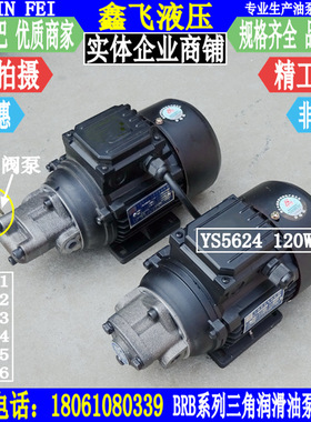 BRB-1 BAB-2 RAB-3 4 5 6三角摆线润滑油泵电机组YS5624 120W