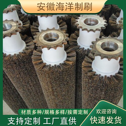 供应工业猪鬃抛光毛刷辊轮 小型毛刷辊 圆柱形除尘毛刷机械清洗辊