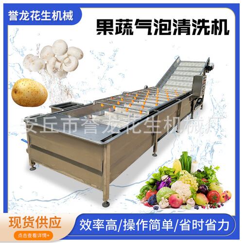 不锈钢花生果清洗机蔬菜水果茄子土豆去杂连续式气泡清洗流水线