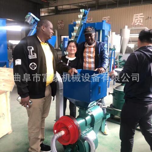 水稻小麦玉米碾米机 谷子高粱去皮机 稻谷脱皮打米机 玉米去皮机
