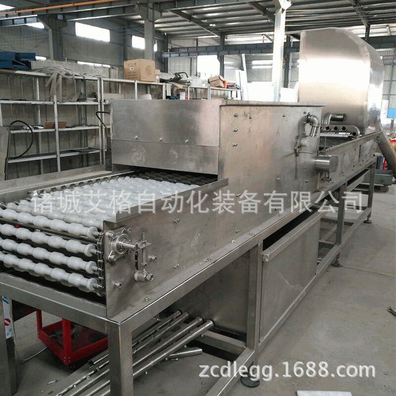 鸡蛋剥壳机的厂家 诸城艾格全自动洗蛋机 鹌鹑蛋剥壳机价格