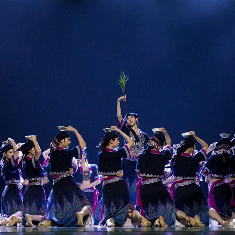第十三届荷花奖生生回响舞蹈服装民族群舞彝族打碗舞台剧目演出服