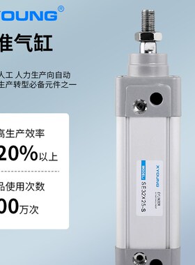 SE100X125气动SE100X200标准气缸SE100X50-S带磁标准气缸SE100X75