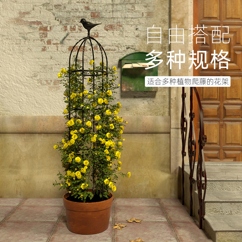 花架爬藤架月季蔷薇阳台架子花盆植物藤架户外花柱园艺攀爬花支架