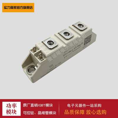 SKKT91/12E SKKT91/16E  西门康可控硅模块  现货