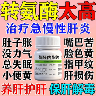 转氨酶高吃什么药急慢性肝炎三阳乙肝抗病毒特效专用药葡醛内酯片