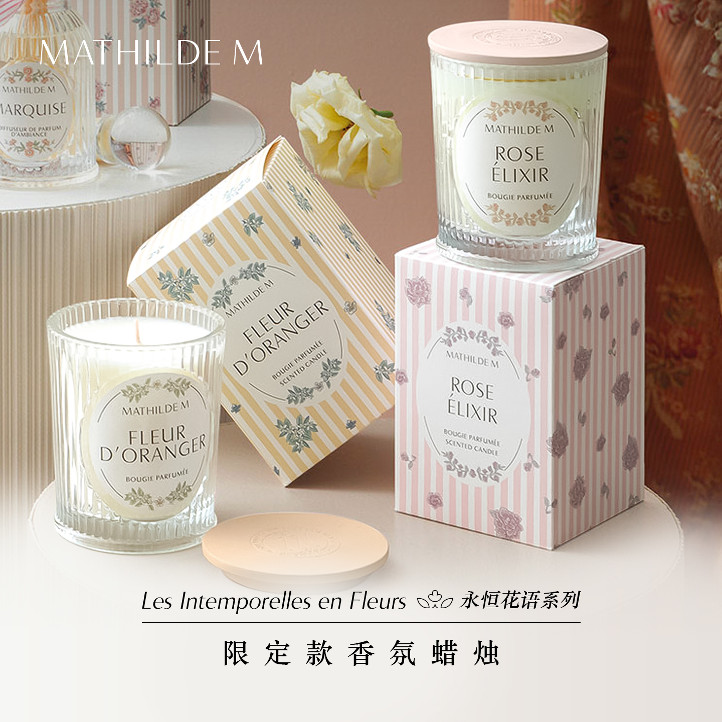 法国MATHILDE M永恒花语限定款香薰蜡烛室内家用持久留香家居香氛