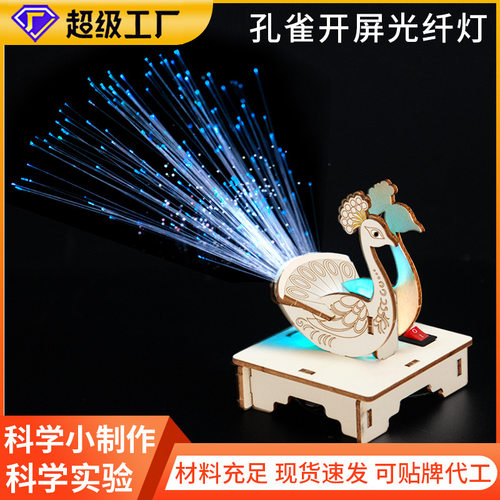 加工定制孔雀开屏科学实验套装儿童手工科技小制作diy玩具厂家