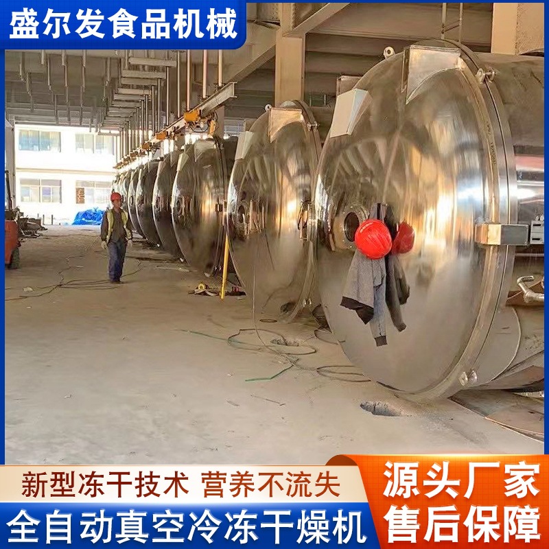 银耳羹真空冷冻 茶叶咖啡真空冷冻干燥机 不锈钢卧式真空冻干机