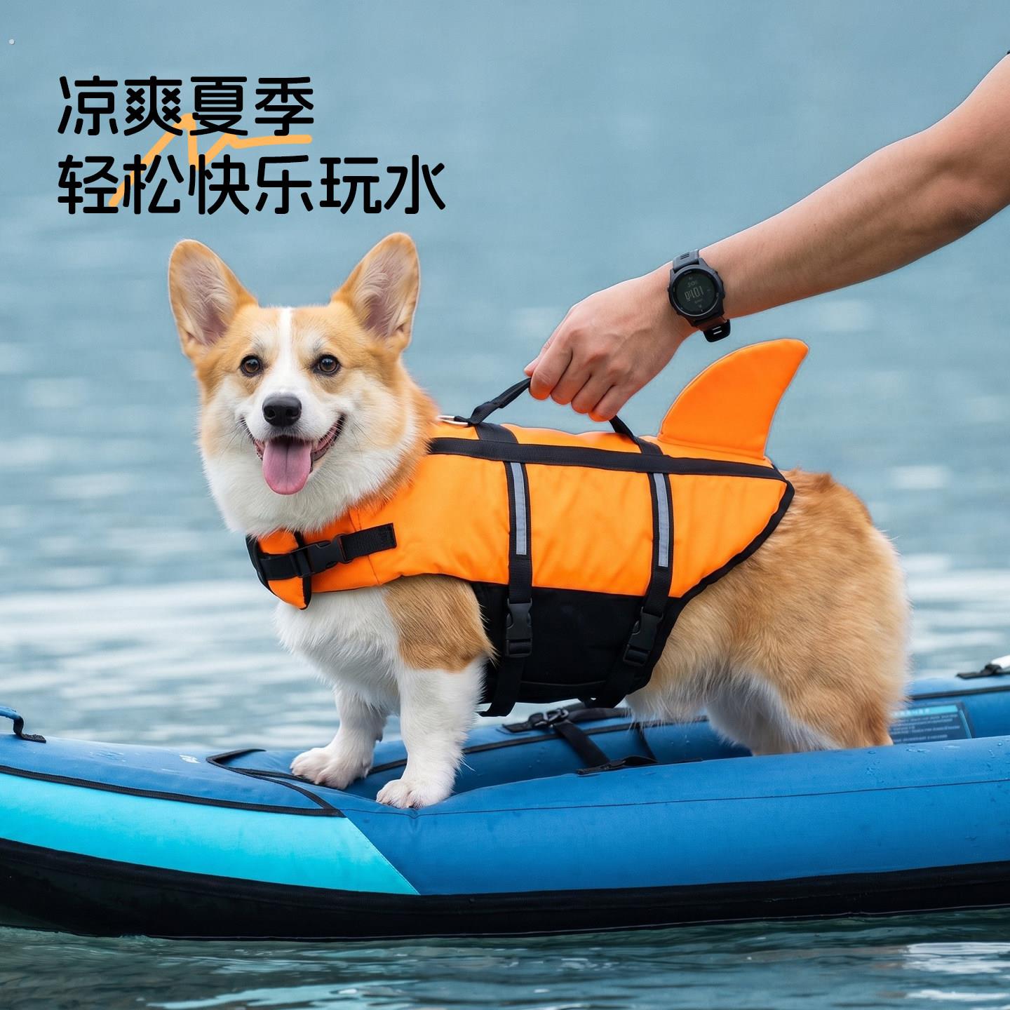 狗狗游泳夏天柯基柴犬泰迪小型犬宠物救生衣夏日玩水安全浮力泳衣