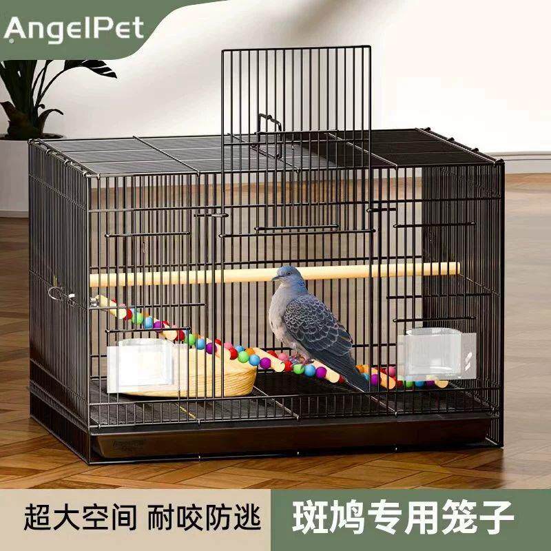 斑鸠鸟笼子斑鸠专用鸟笼养殖笼养斑鸠活鸟家养的笼子超大号繁殖窝