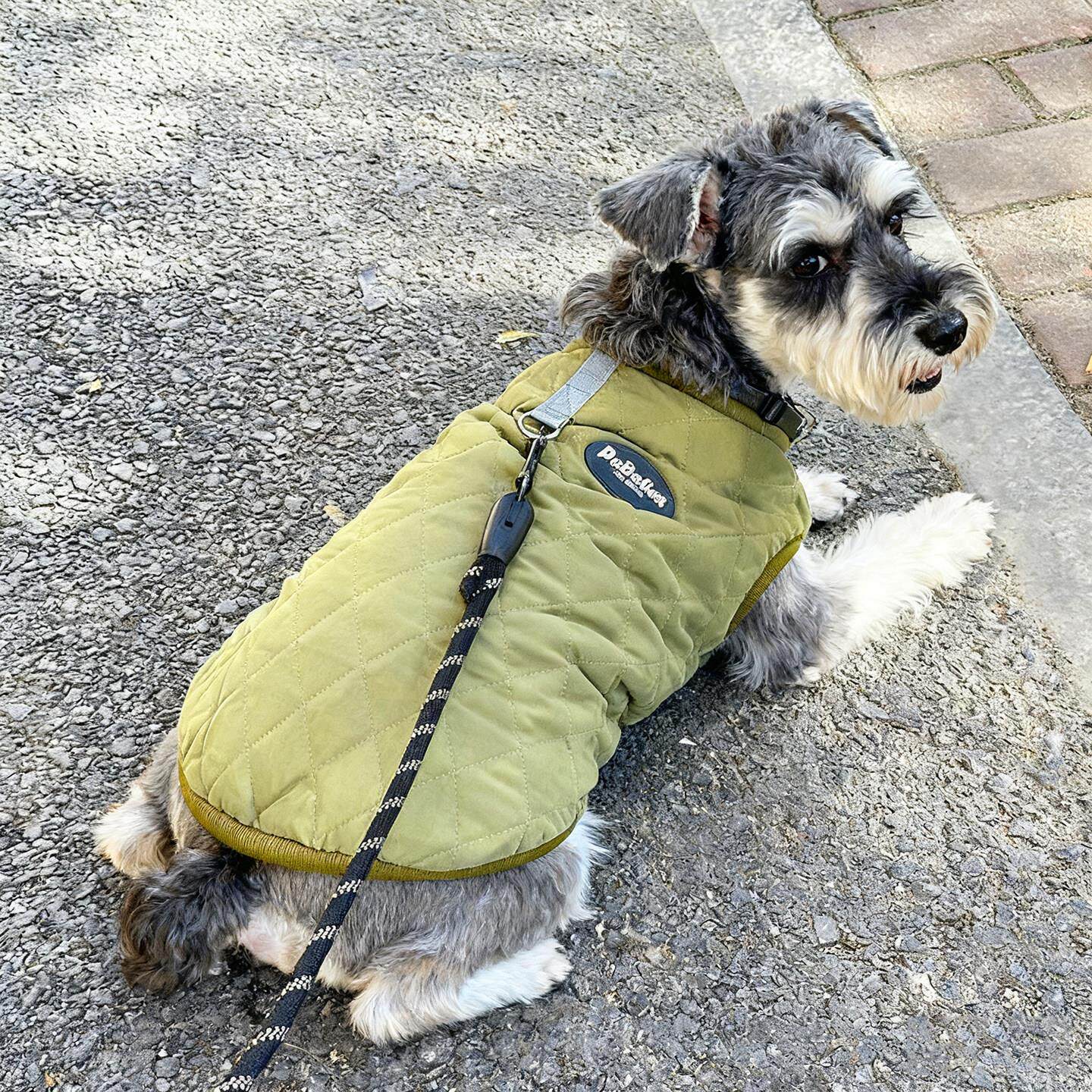 小狗狗衣服秋冬装保暖加绒加厚马甲棉衣小型犬雪纳瑞冬季宠物棉服