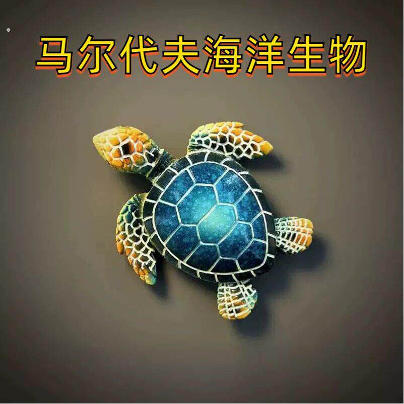 马来西亚沙巴州仙本那旅游纪念品创意立体海龟装饰磁性冰箱贴礼物